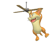 :k9